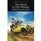 Wind In The Willows 